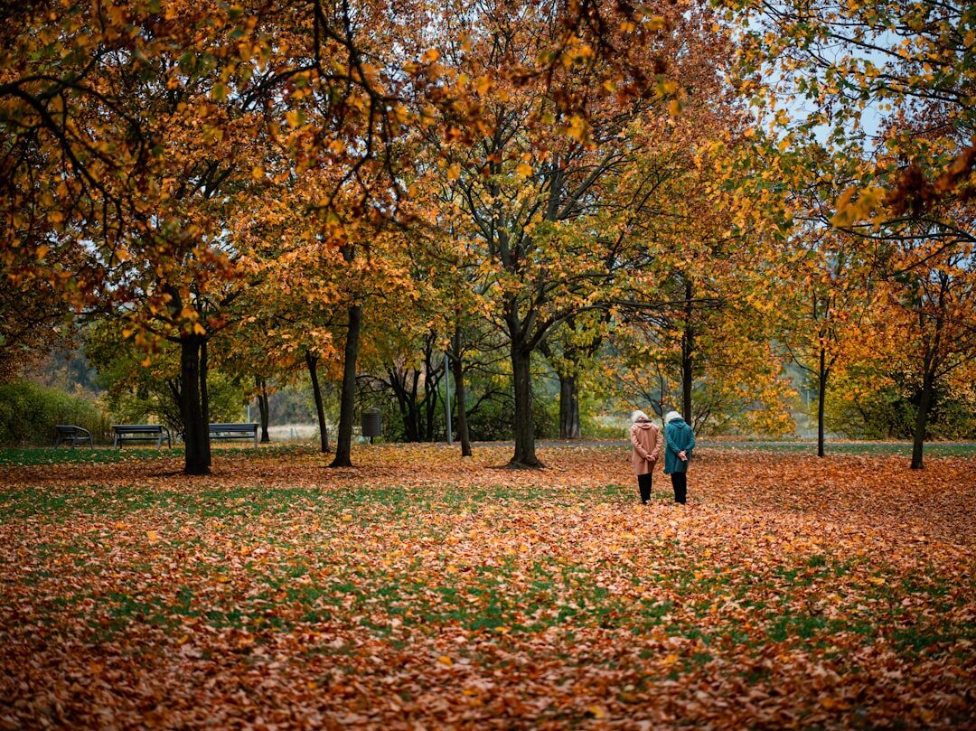senior couple walking in park